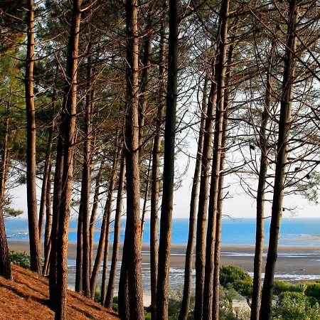 Appartement Arcachon, 2 Pièces, 4 Personnes - Fr-1-420-64